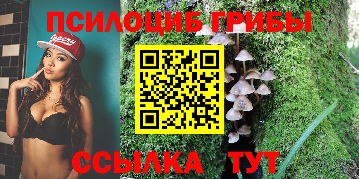 Галлюциногенные грибы Psilocybine cubensis Дзержинск
