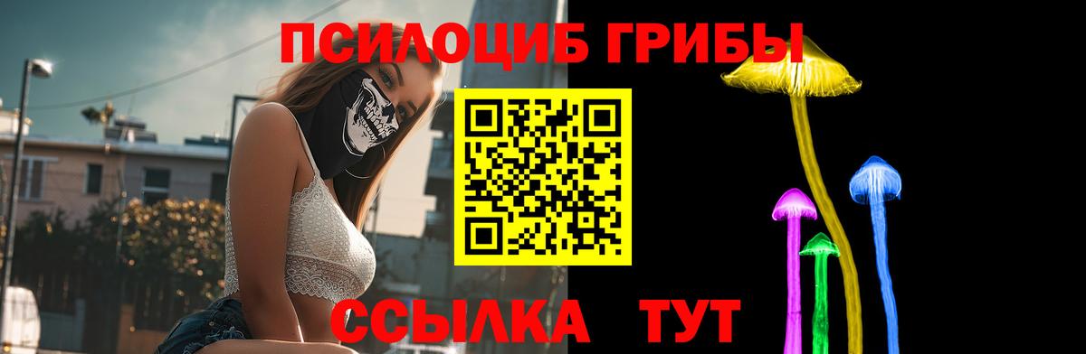Дзержинск  Псилоцибиновые грибы прущие грибы  Псилоцибиновые грибы мухоморы  Вход с VPN 